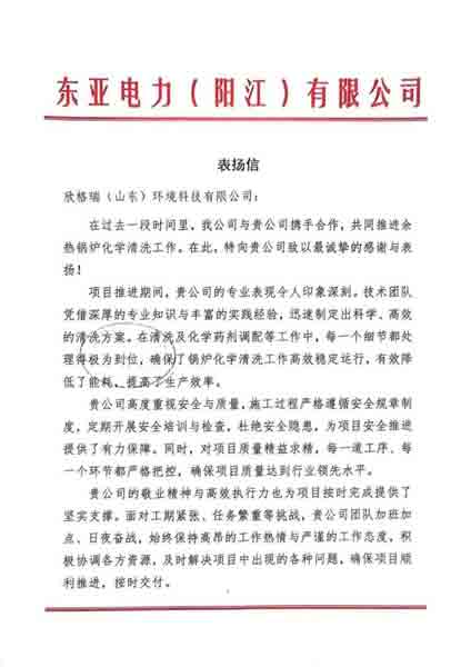 攜手共贏·匠心服務(wù)再獲認可 ——欣格瑞公司承接的東亞電力（陽江）余熱鍋爐化學(xué)清洗項目獲客戶表揚
